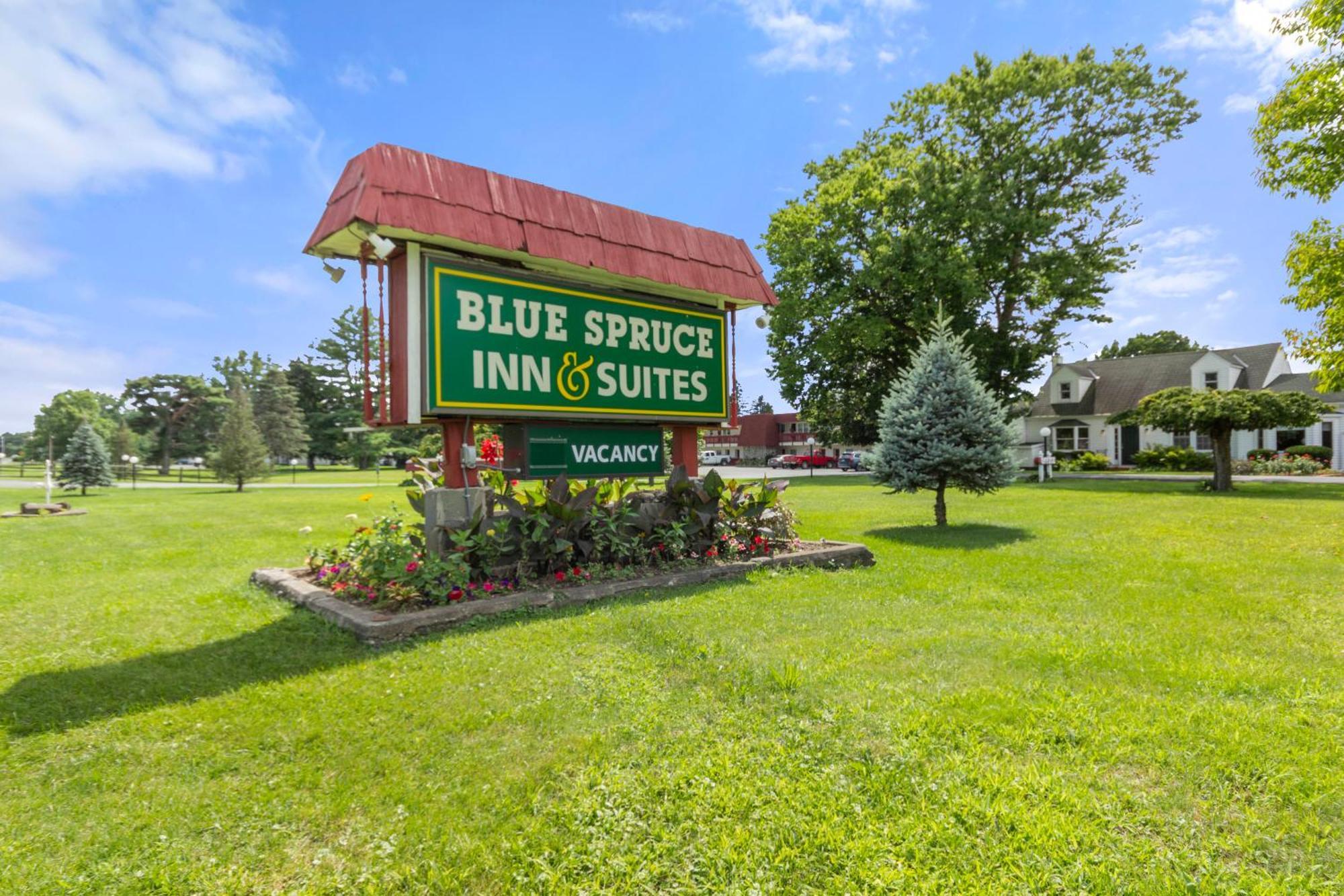 Blue Spruce Inn & Suites Valatie Dış mekan fotoğraf